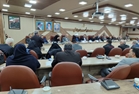برگزاری جلسه کمیته تخصصی کیوی در شهرستان تالش