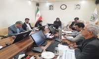 نشست تدوین طرح زنجیره ارزش خرما برگزار شد