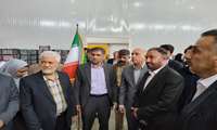 معاون دفتر امور میوه های سردسیری و خشک : ۲۵۰ هزار هکتار از باغات کشور به سیب درختی اختصاص دارد 