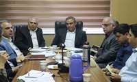مجری طرح زیتون : حمایت از باغداری معیشتی منجر به جهش تولید می شود