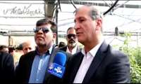 استقبال تولیدکنندگان بخش کشاورزی فارس از گلخانه تابع اقلیم