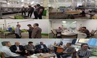 بازدید از پایانه صادراتی روماک گستر پارس