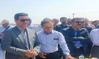 مدیر کل دفتر امور میوه های سردسیری و خشک : برداشت ۳۰۰ هزار تن پسته در کشور/ شهرستان خاتم قطب تولید پسته استان یزد 