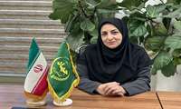 برآورد تولید ۳.۷ میلیون تن محصولات گلخانه‌ای در سال جاری/ صادرات ۲۴۰ هزار تن محصولات گلخانه‌ای در ۴ ماهه امسال