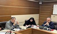 نشست مدیریت پسته صادراتی به اتحادیه اروپا با حضور معاون امور باغبانی برگزار شد