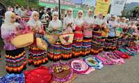 جشن برداشت برگ سبز چای در استان گیلان - اردیبهشت 1404