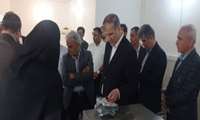 بازدید معاون امور باغبانی از پژوهشکده چای استان گیلان