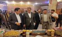 جشنواره انجیر استهبان/نماد هم‌افزایی مسئولان و کشاورزان منطقه