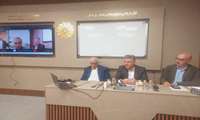زیتون ایران آماده فتح بازارهای جهانی است.