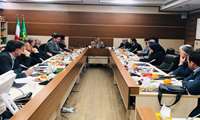 برگزاری نشست هماهنگی تنظیم بازار داخلی میوه شب عید و صادرات سیب درختی