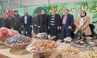 هفتمین نمایشگاه تخصصی خرما، انار و انجیر برگزار شد 