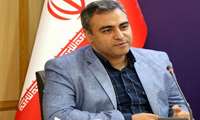 پیش‌بینی تولید بیش از 150 هزار تن دانه زیتون/ بازسازی 30 هزار هکتار از باغات زیتون در دستور کار است