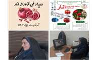 ایده تحقیقاتی کارشناسان دفتر میوه های گرمسیری و نیمه گرمسیری در زمینه انار در رویداد ملی فناورانه انار