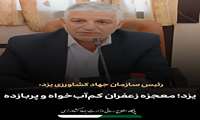 رئیس سازمان جهاد کشاورزی استان یزد : یزد؛ معجزه زعفران کم‌آب‌خواه و پربازده