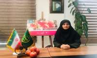 پیام مدیر کل دفتر امور میوه های گرمسیری و نیمه گرمسیری به مناسبت روز ملی انار