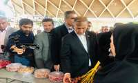 بازدید معاون وزیر در امور باغبانی و مدیران ستادی از هشتمین نمایشگاه کشاورزی آیفارم 