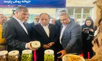 بازدید مقام عالی وزارت جهاد کشاورزی  از غرفه معاونت امور باغبانی در نمایشگاه آیفارم 