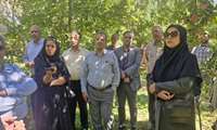 فرآیند کِیل‌ گیری محصولات باغی استان تهران به‌منظور شناسایی و انتخاب تولیدکننده برتر کشوری
