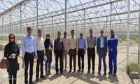 دومین روز بازدید و بررسی های میدانی همکاران معاونت امور باغبانی در استان خراسان رضوی