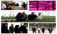 از مجموعه های شرکت گلخانه ای فراکشت پارسیان و همچنین واحد دانش بنیان plant factory پرتو رشد نوین بازدید کردند.
