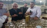 بازدید از باغات منطقه طارم علیا شهرستان آب بر استان زنجان و صنایع فرآوری زیتون انجام شد.