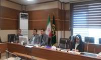 برگزاری نشست هماهنگی تامین و توزیع اندام های تکثیری (پیوندک های عاری از ویروس) مورد نیاز استان ها از باغات مادری