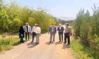 بازدید آقای مهندس موسوی رییس گروه نهال و بهبود ارقام  از نهالستانهای استان فارس