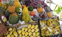 هدفگذاری تولید 9.5 میلیون تن میوه‌های گرمسیری و نیمه‌گرمسیری