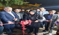 حضور خانم دکتر جلیلی مقدم مدیر کل دفتر امور میوه های گرمسیری و نیمه گرمسیری در مراسم افتتاحیه جشنواره چای لاهیجان