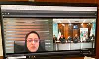 برگزاری همایش منطقه ای توسعه تولیدات گلخانه ای