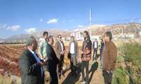 بازدید از سرشاخه کاری باغات گردو  و نهالستان های نهال انگور و بادام شهرستان بویراحمد