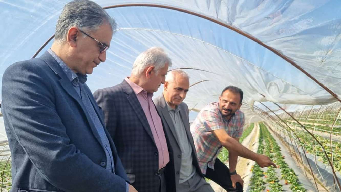 بازدید 