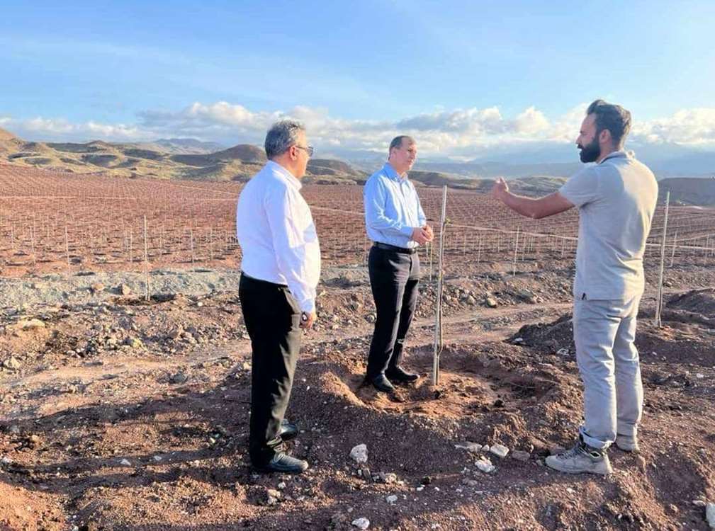 قزوین  