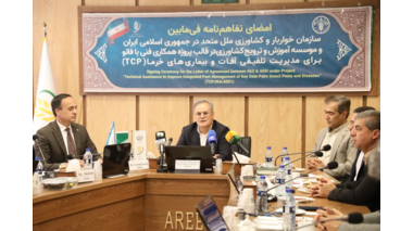 افزایش بهره‌وری و انتقال دانش؛ محور همکاری‌های مشترک تات و فائو