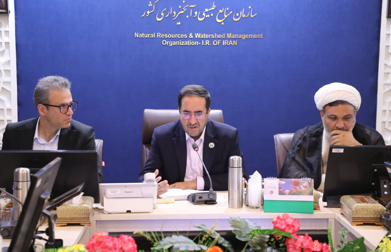 اجرای برنامه‌های منابع طبیعی نیازمند تنوع‌بخشی به منابع مالی است