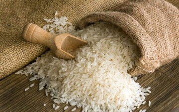 ثبت سفارش واردات انواع برنج از فردا آغاز می‌شود