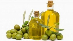 دستورالعمل های زیتون 