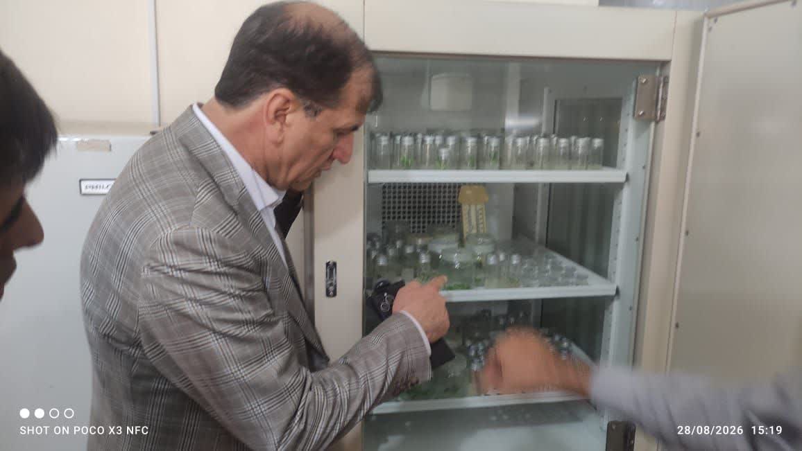 بازدید معاون امور باغبانی از طرح ها و پروژه های تحقیقاتی باغبانی استان چهارمحال و بختیاری 