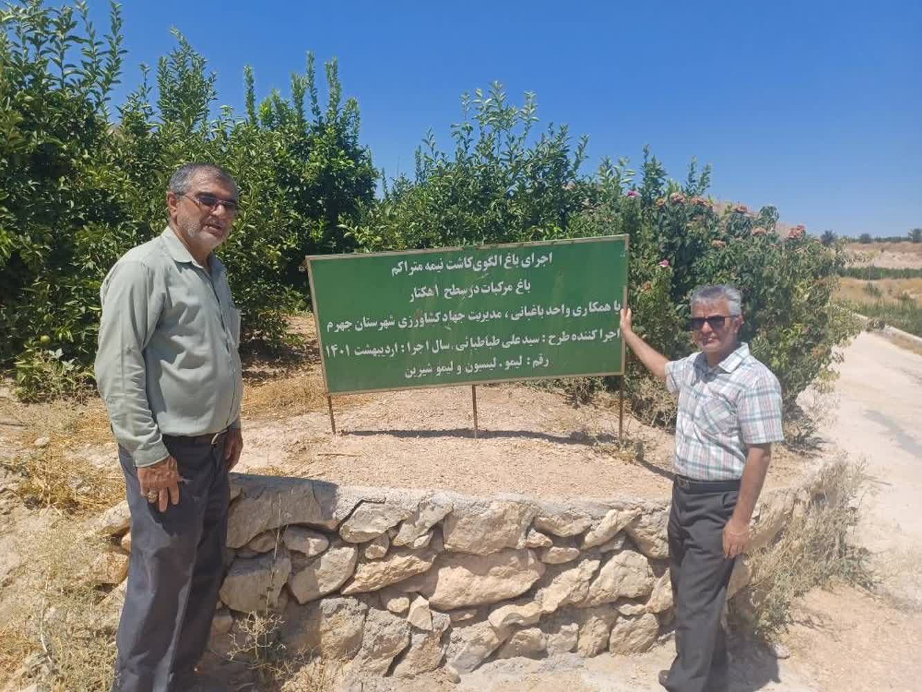 بازدید از باغات مرکبات استان فارس شهرستان جهرم