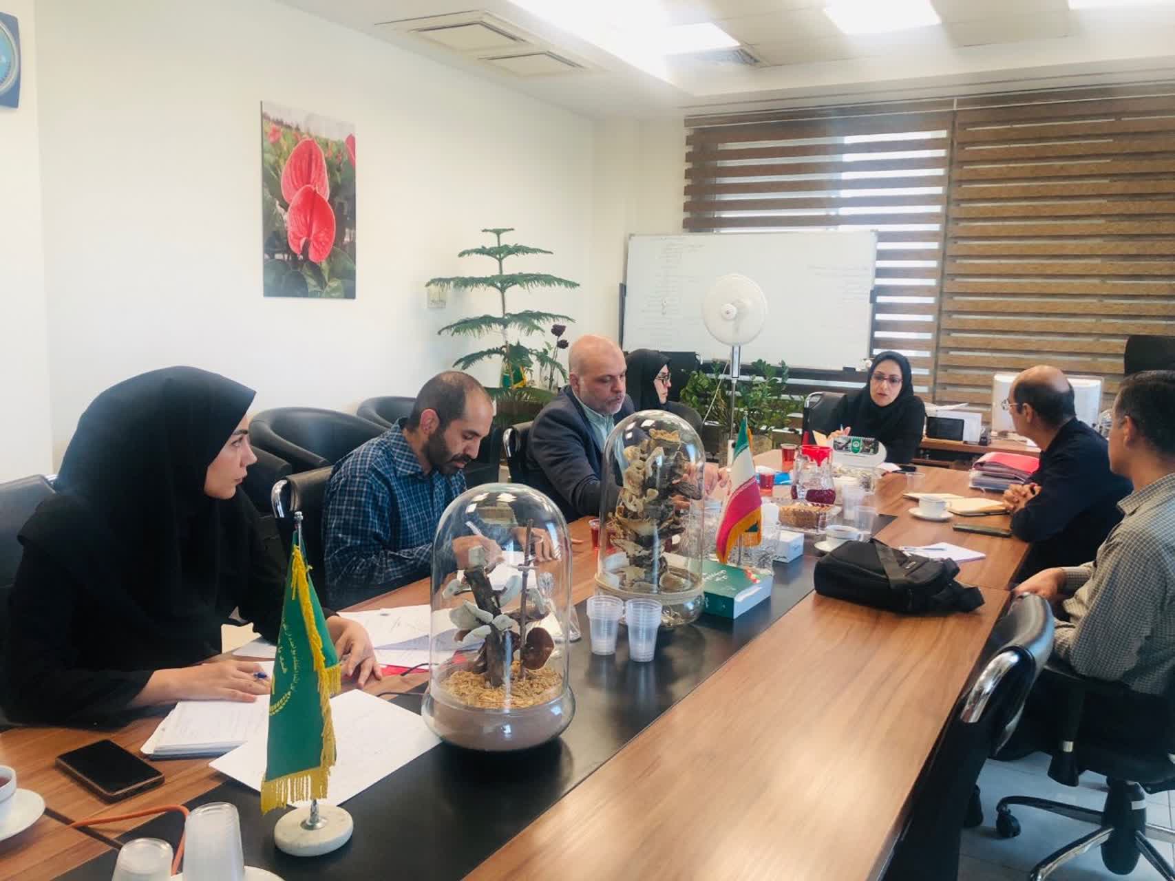 برگزاری جلسه همکاری با بهینه سازی مصرف انرژی شرکت ملی صنایع پتروشیمی
