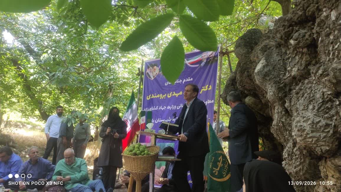 بازدید معاون وزیر در امور باغبانی از وضعیت باغات، تولید و برداشت گردو در شهرستان بافت استان کرمان 